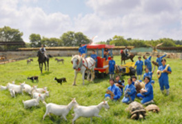 東京動物専門学校